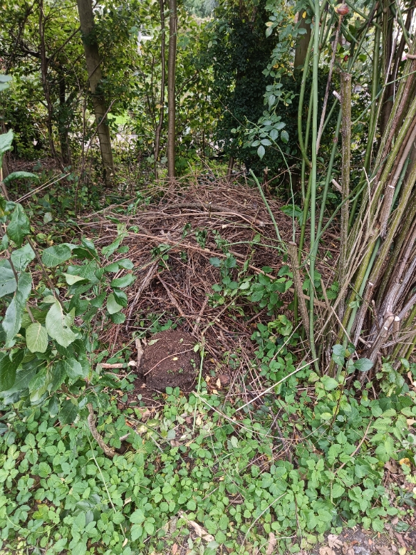 Fjernet ukrudt og kørt haveaffald væk