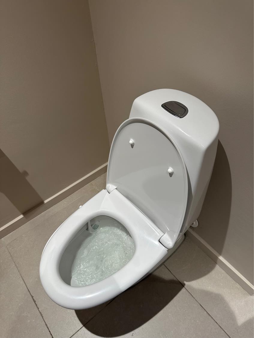 Hjælp til at finde tilstoppet WC