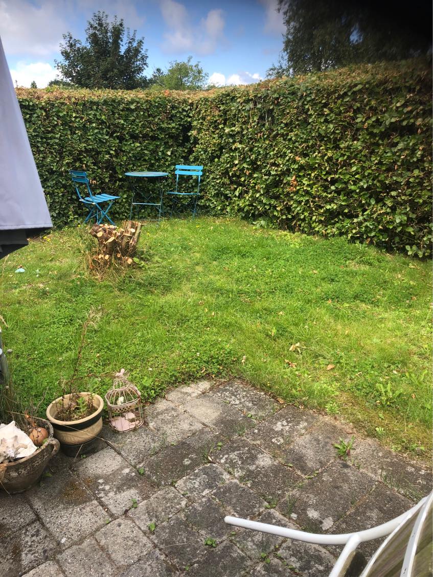 HJÆLP! Ukrudtet har fået magten i mine 2 små haver!