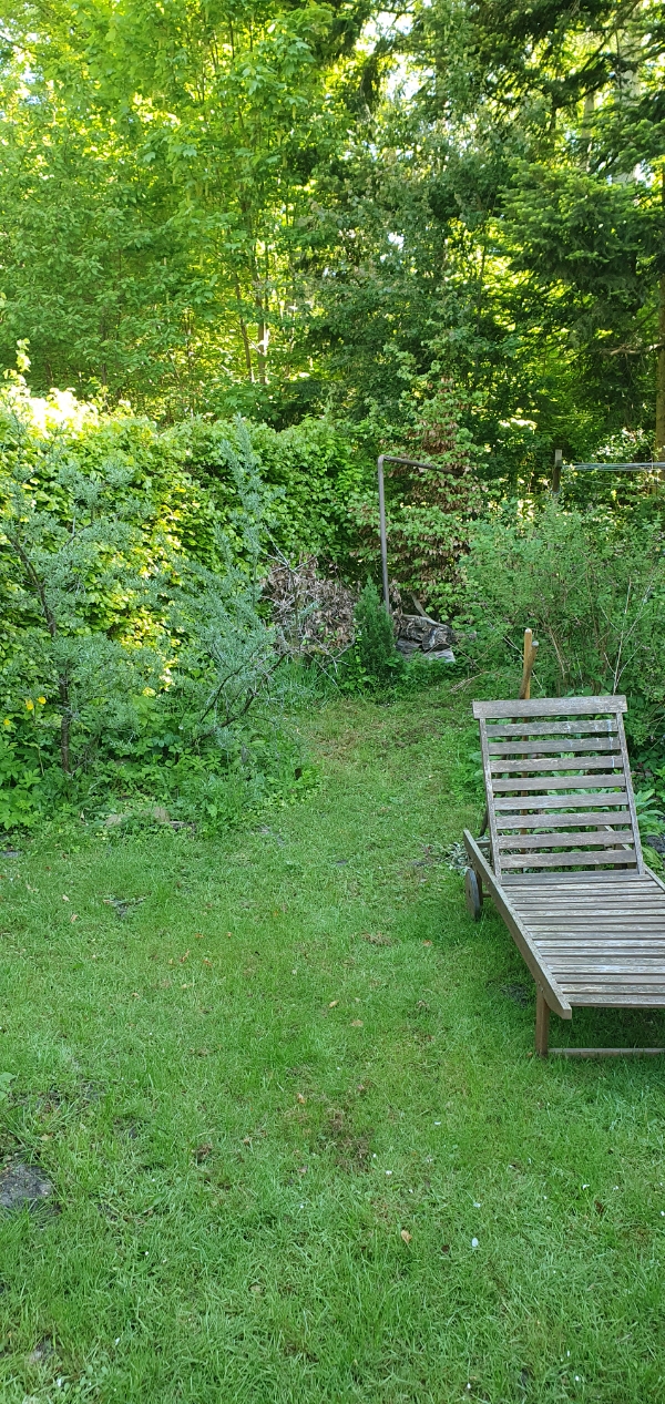 Pris på hækklipning