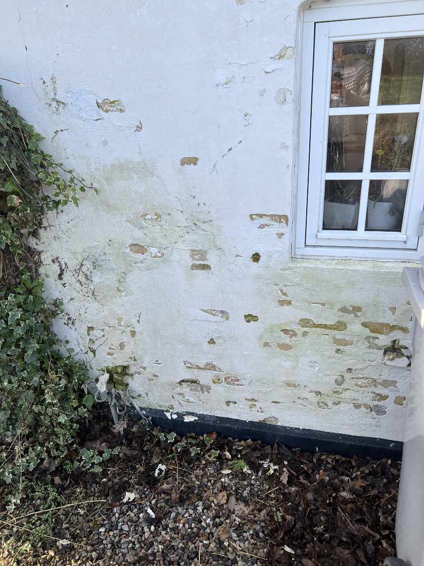 Har hvidkalkede facader på huset, som skal renses af for alger og diverse. Der er desuden er lille stykke væk med skader der skal udbedres.