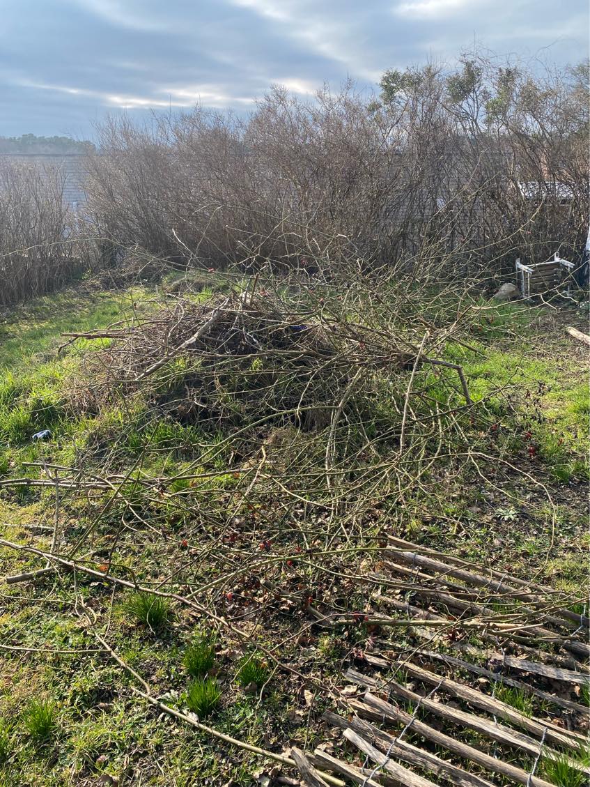 Køre affald på lodseplads