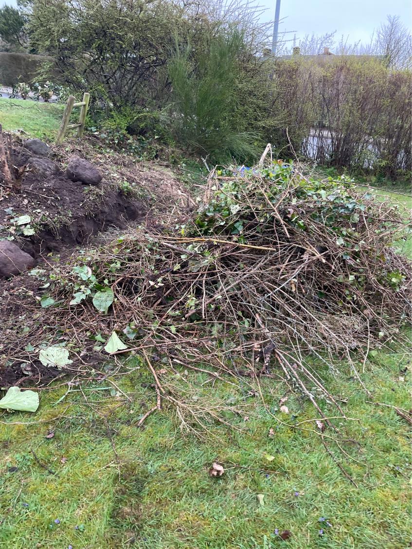 Haveaffald bortkøres / Randers