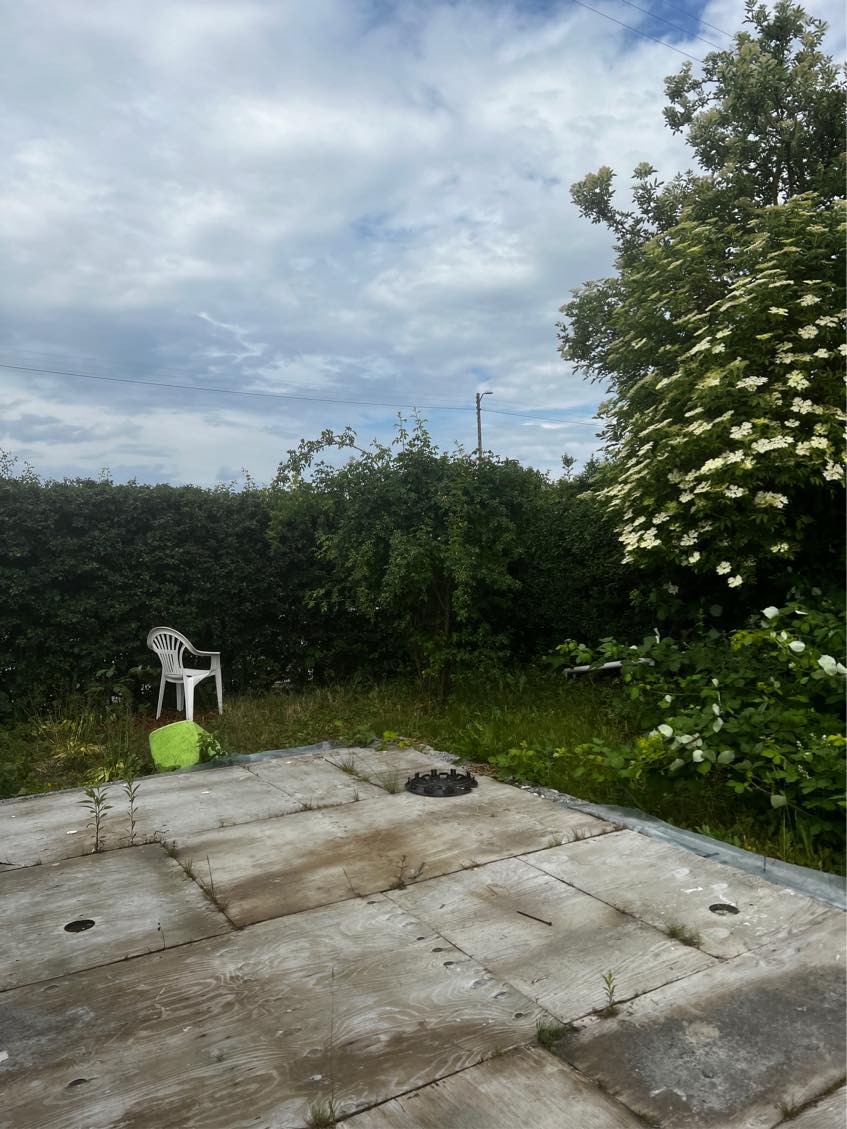 Busk og træ skal fjernes