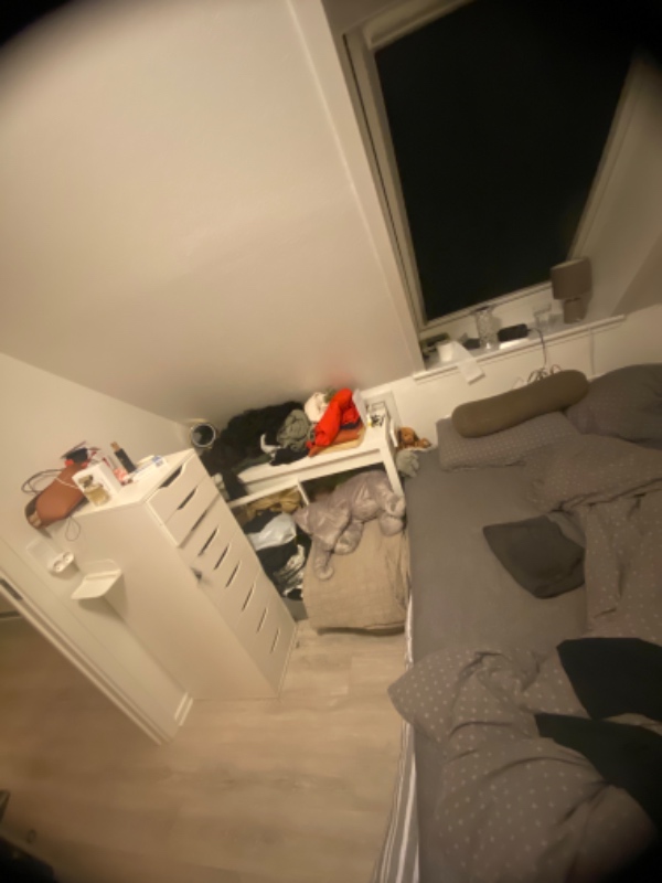 Oprydning og organisering af mine ting i hele lejligheden. Jeg bor i en 2 værelses på Ca.65 kvm.