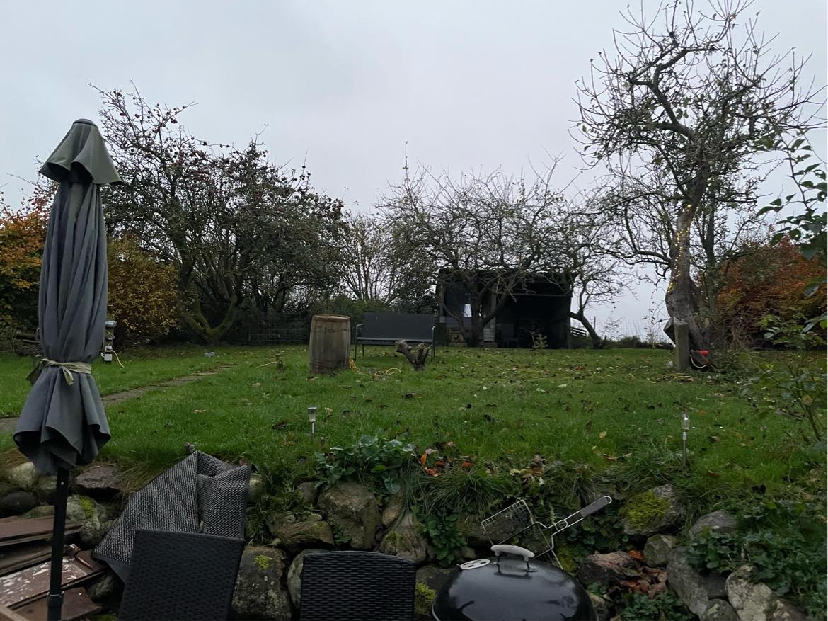 Fældning af gamle frugt træer