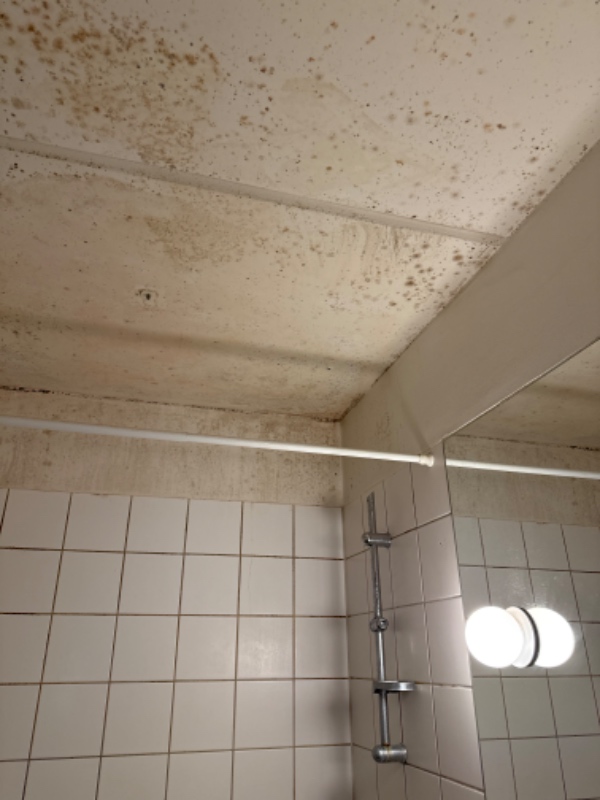 Maling af badeværelse
