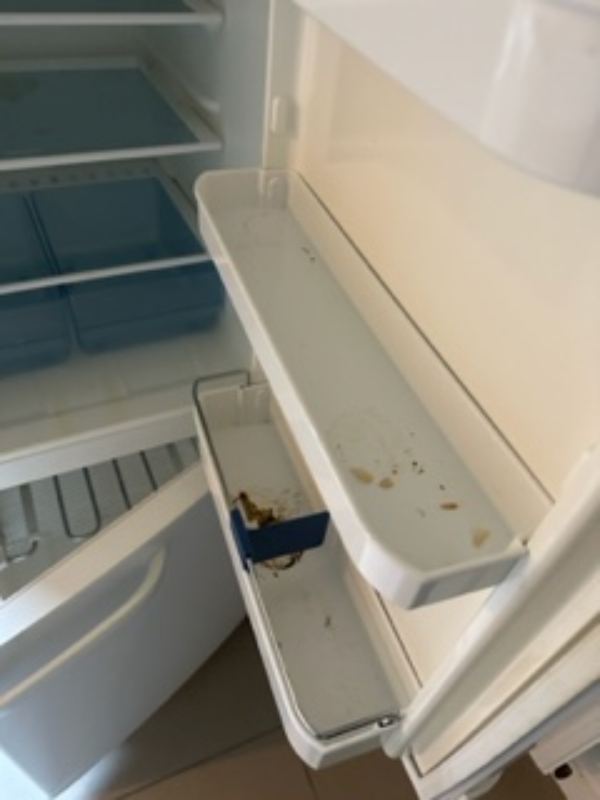 Rengøring af lejlighed