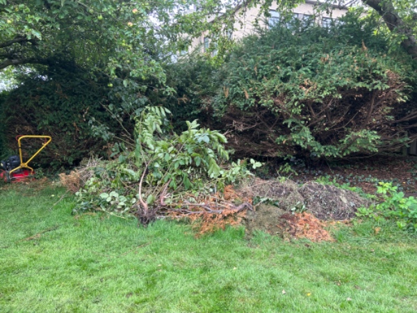 Afhentning af haveaffald