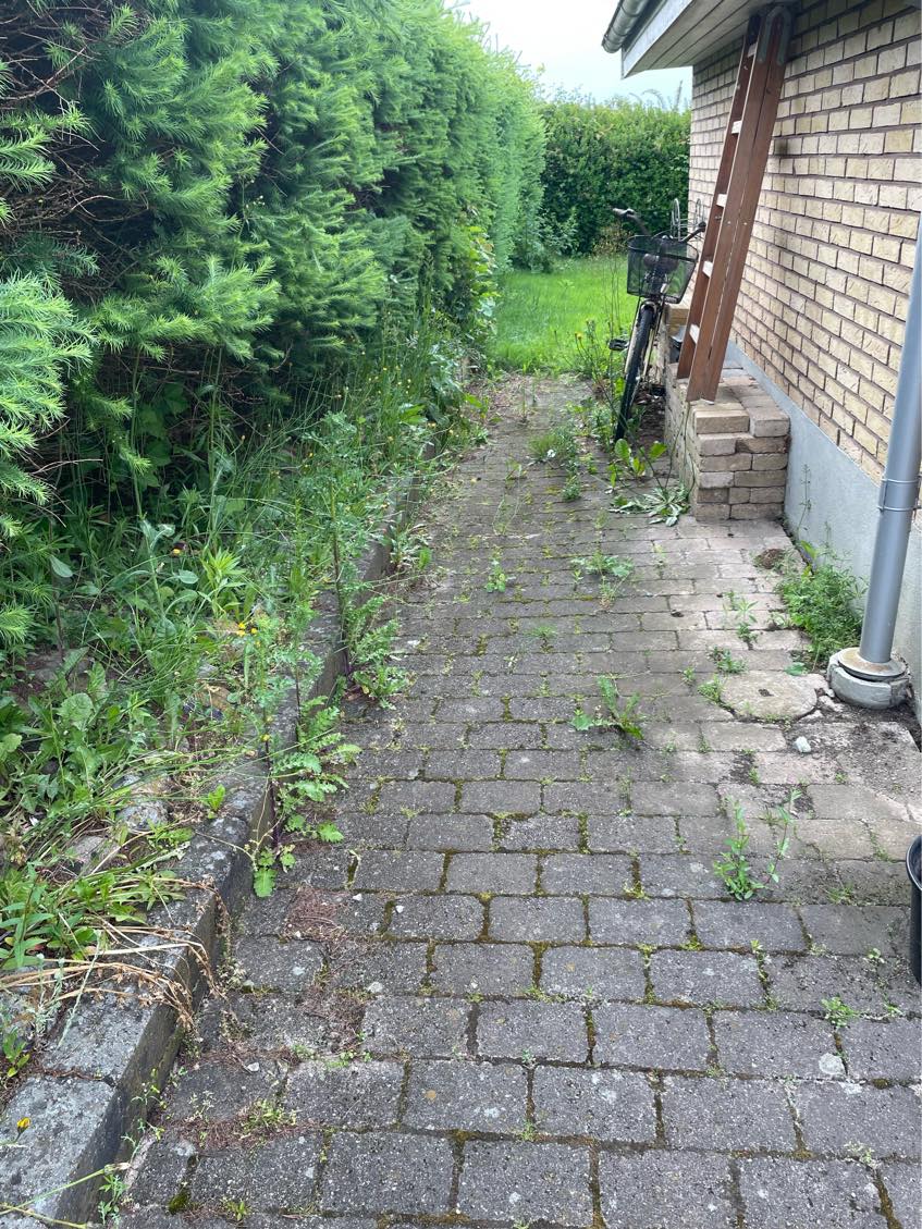 Hjælp til at fjerne ukrudt i indkørslen