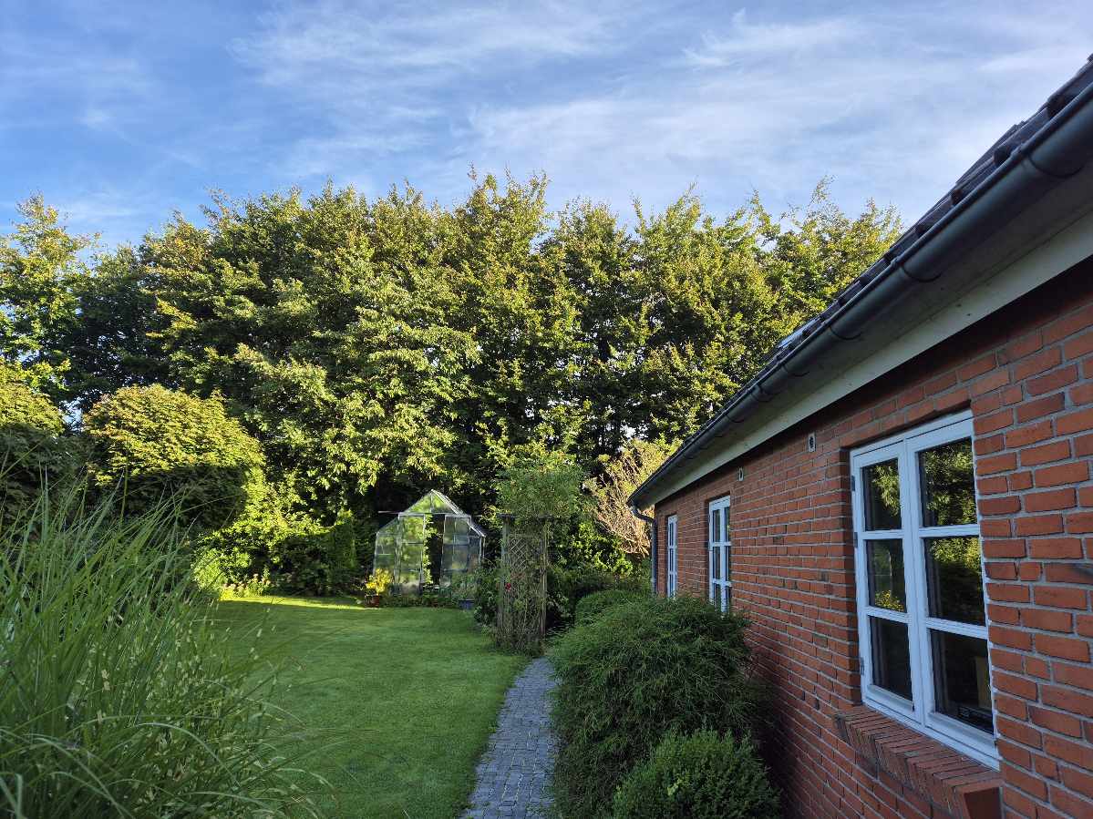 Fældet ca. 20 træer og skåret dem i brandbare stykker