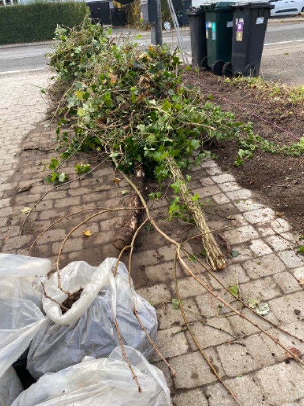 Bortkørsel af blandet haveaffald
