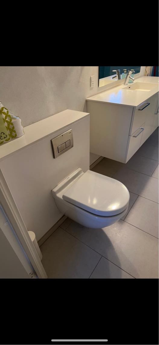 Afmontering af væghængt toilet og fragt til Vanløse
