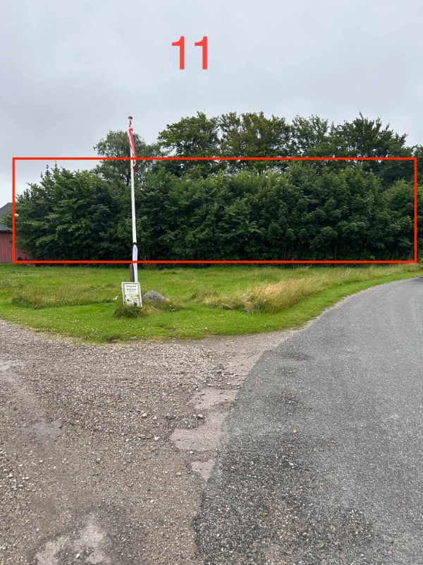 Hæk- og buskklipning samt trætopkapning