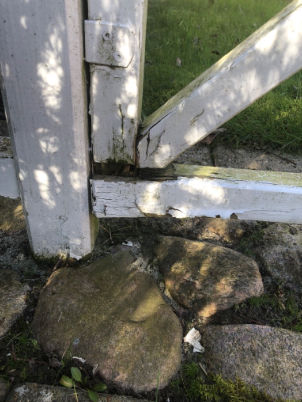 Reparation og maling af træhegn