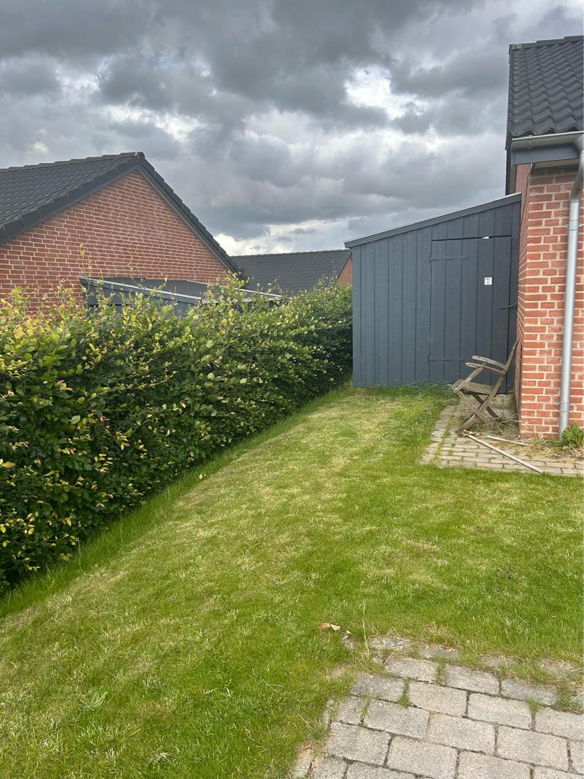 Klippe græs og hæk