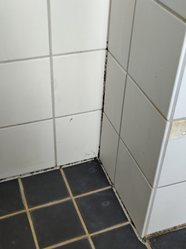 ny silikonefuge ved bad og kogeplade