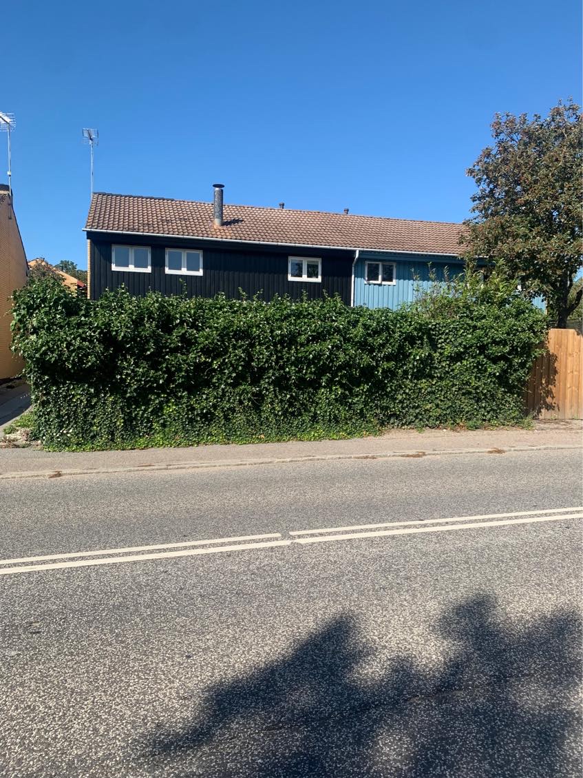 Min hæk skal ordnes og køres væk