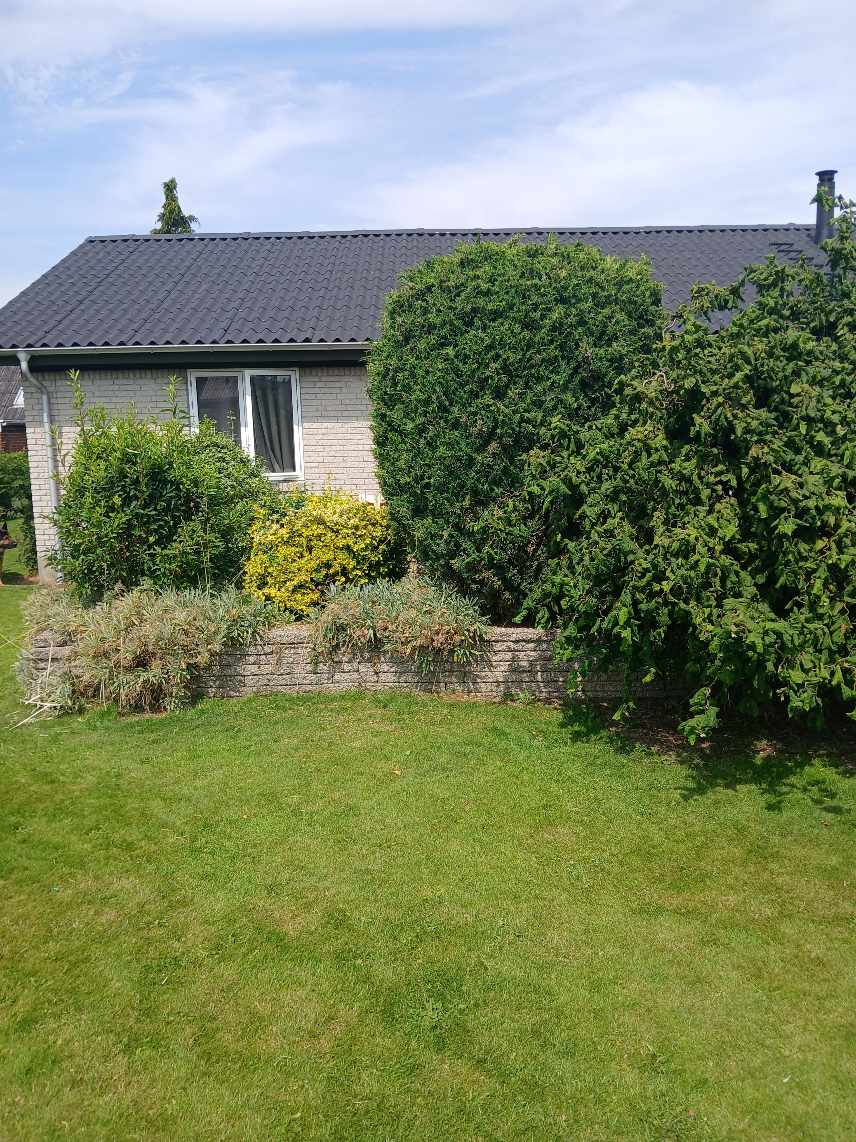 Fjerne højbed, fliser og buske/træer