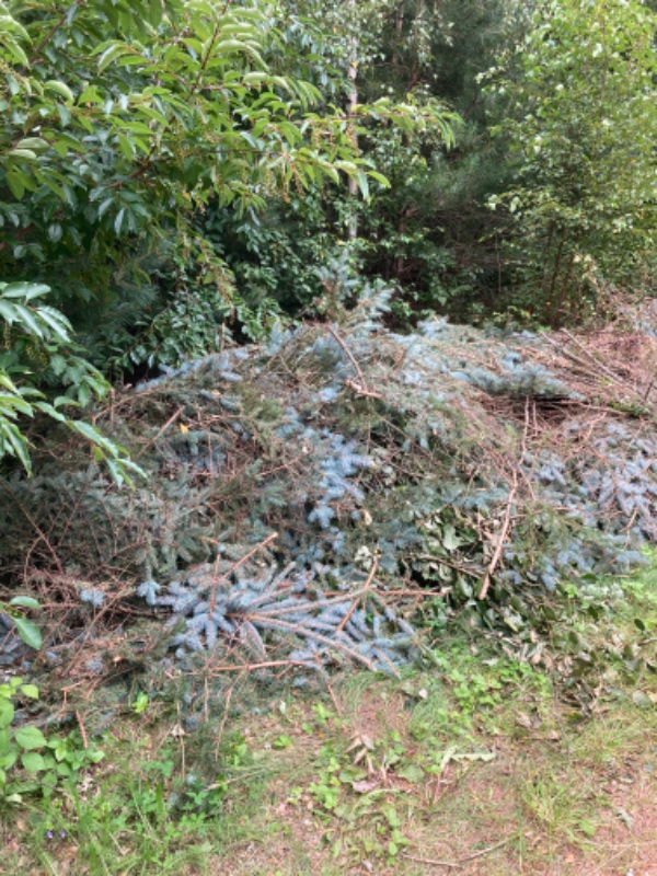 Afhente haveaffald (og køre på genbrugsstation)