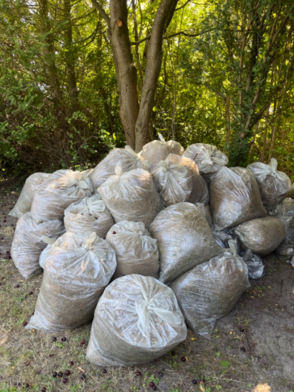 Afhentning af haveaffald