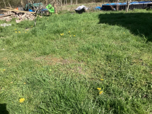 Hej vi har ca 400 m2 der er meget ujævn ( mange knoldet og buler) dels pga muldvarp skal udjævnes