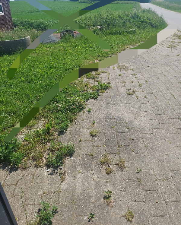 Fjerne ukrudt på fliser