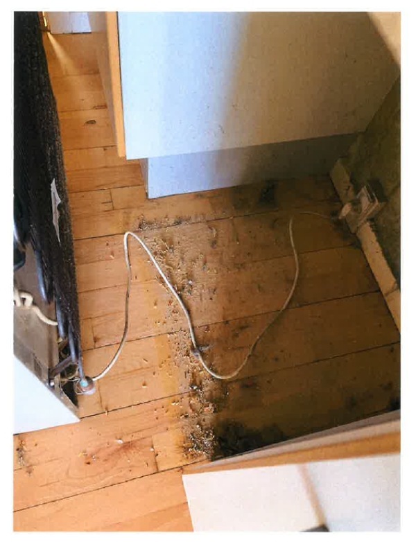 udflytningsrengøring