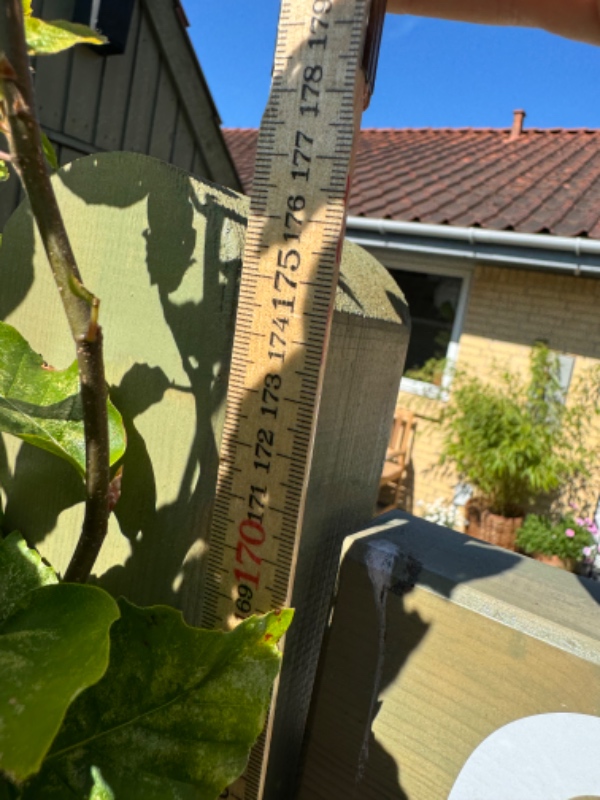 Stolper og havelåge