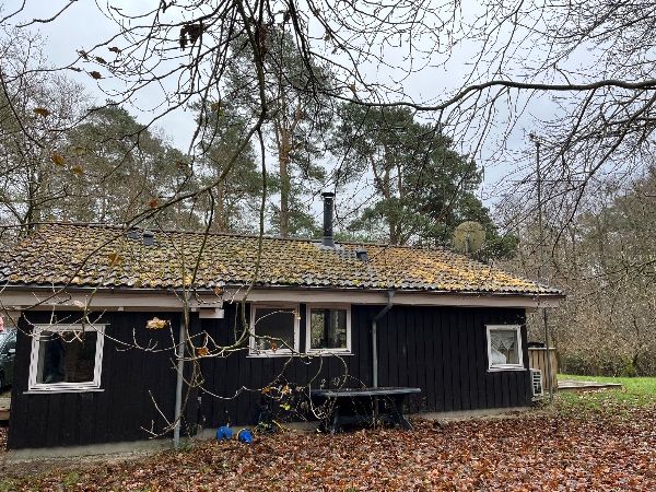 Feje mos fra tag på sommerhus