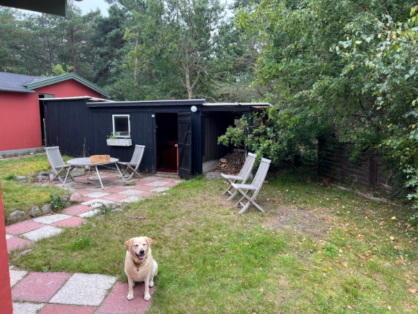 Nedrivning og bortfjernelse af skur