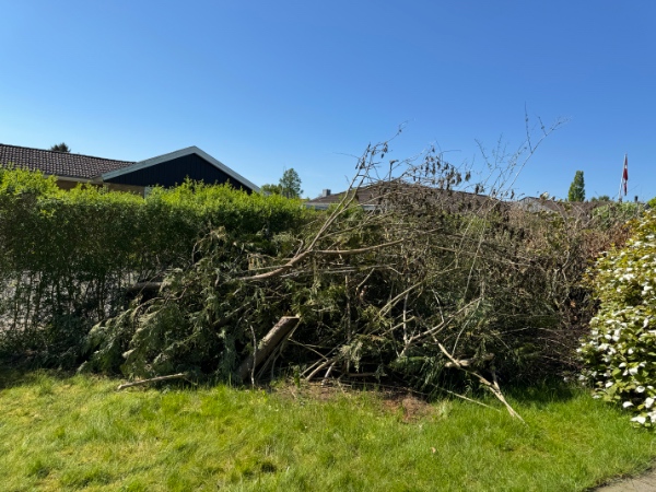 Haveaffaldsafhentning i Kolding