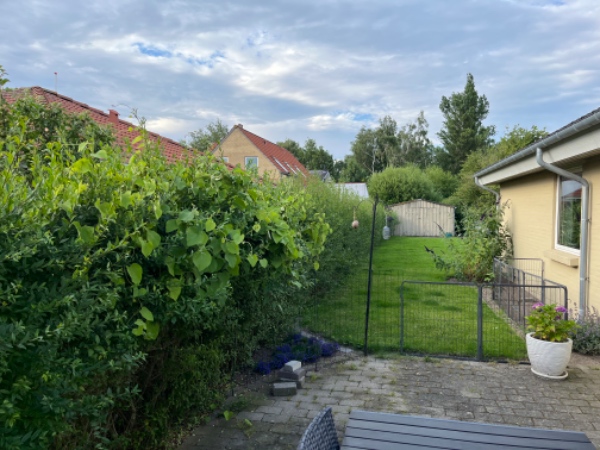 Hækklipning rundt hus