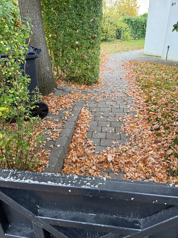 Rydde og bortskaffe blade samt ordne ukrudt på fortovsstykke
