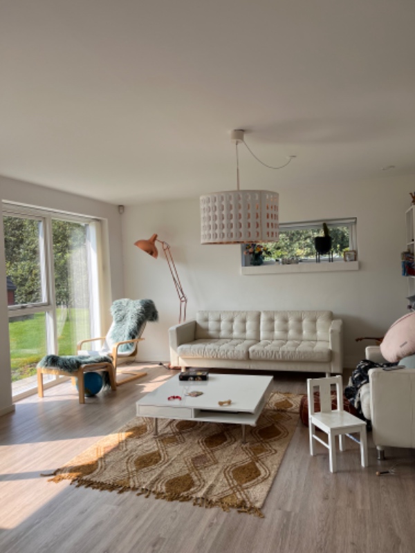 Montering af 2 loftlamper