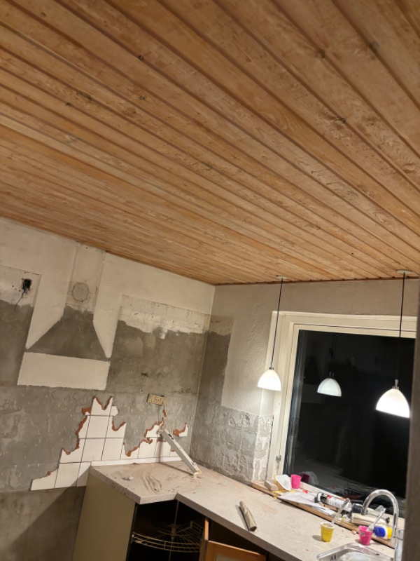 Nedtagning af loft mm og bortskaffelse