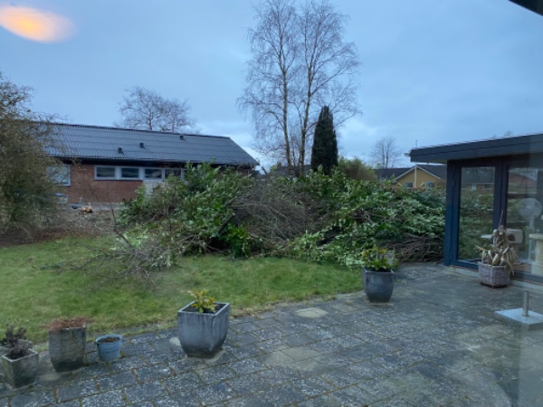 Fjernelse af grenaffald