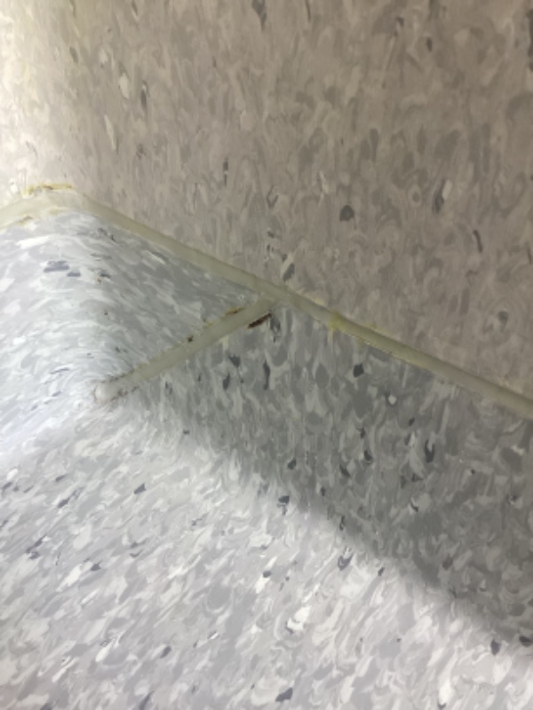 Skiftning af fuger i brusekabine