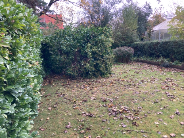 Fjerne delvist væltet træ