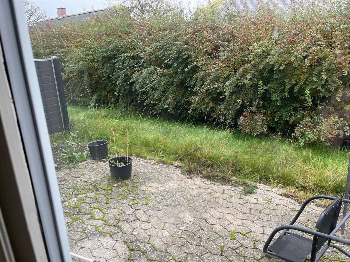 Klip af hæk på indvendig side samt græsslåning