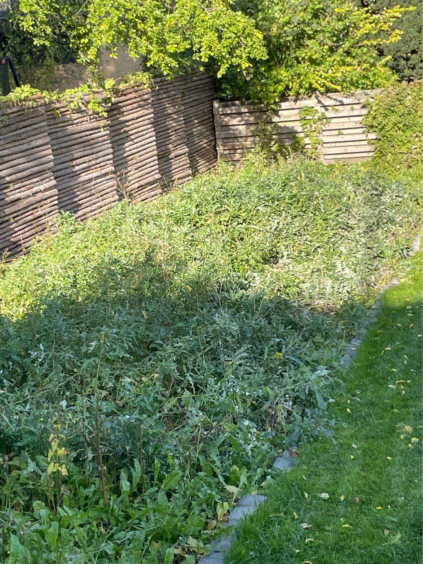 Rydning af ‘Vild med Vilje’-bed