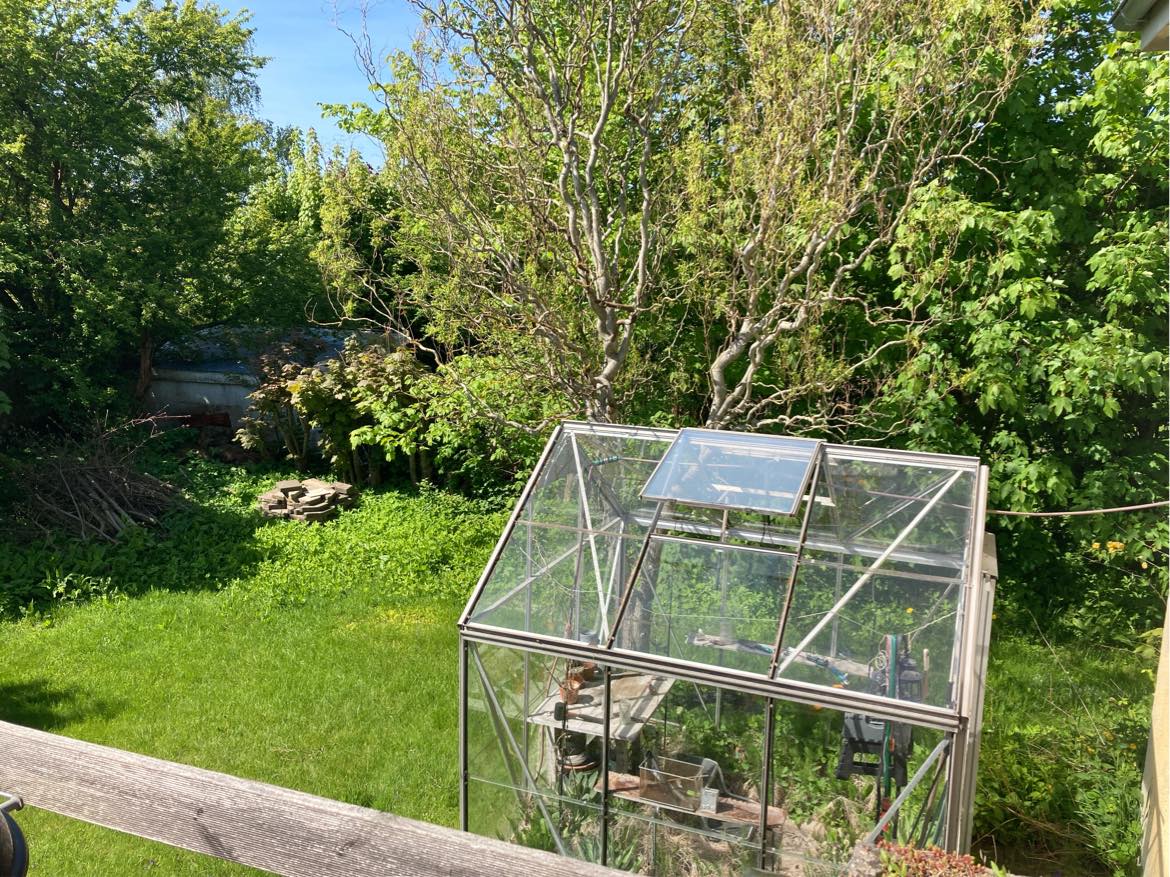 Beskæring og græsslåning