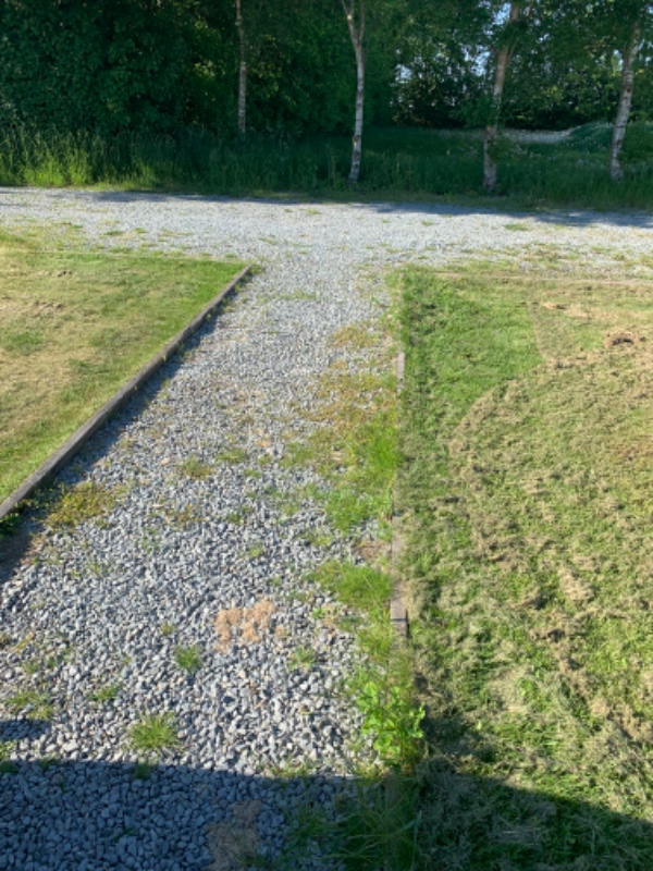 Fjernelse af ukrudt på gårdsplads