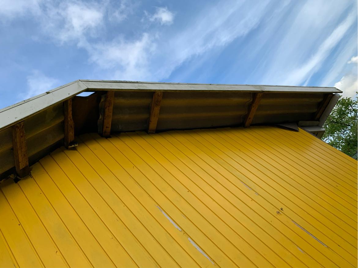 Maling af endegavl på kolonihave