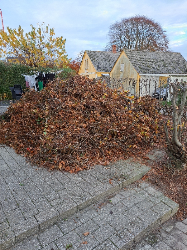 Bortkørsel af nedskåret hæk