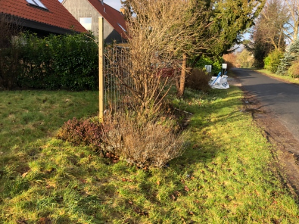 Havearbejde og maleropgaver