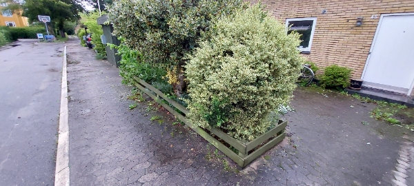 2800-Lyngby: Klippe buskene, fjerne ukrudt, fjerne haveaffald i forhaven.