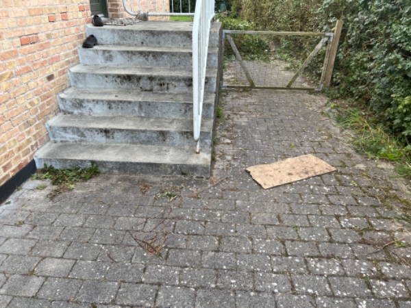 Ukrudt i indkørsel og have