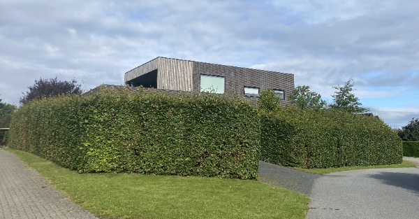 klippet toppen af stor, høj og bred hæk