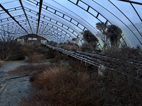 Oprydning af drivhus